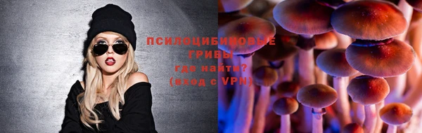 винт Богданович