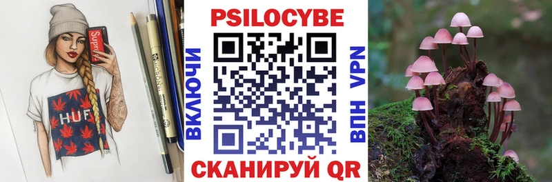 цены   Радужный  Псилоцибиновые грибы Psilocybine cubensis 