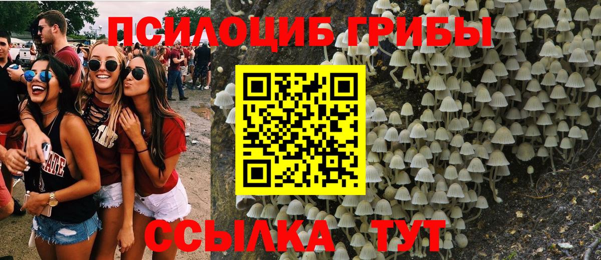 Радужный  как найти наркотики  Галлюциногенные грибы ЛСД  Вход с VPN  Псилоцибиновые грибы MAGIC MUSHROOMS 